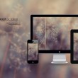 ios图片管理浏览工具